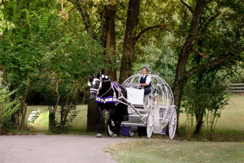 Horse and carriage at Tuscan Ridge in Eads, Tennessee